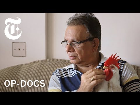 Meet Tungrus and His Pet Chicken From Hell | Op-Docs